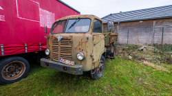 20250208-Lewiszong-00536